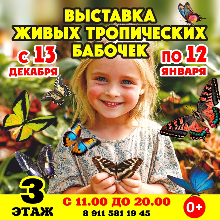 Тропические бабочки в Аврора Молл!