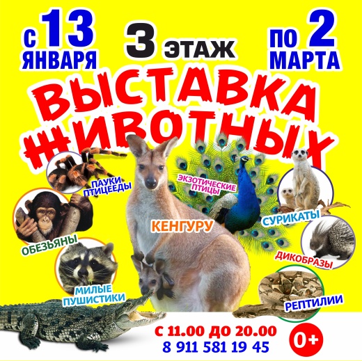 Приглашаем на Выставку экзотических животных