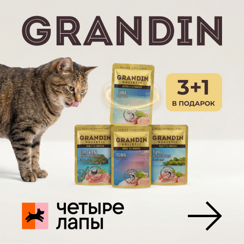 Grandin 3+1  в зоомагазине "Четыре Лапы"