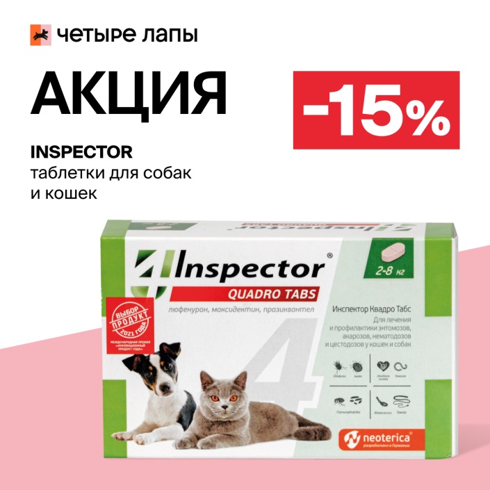 скидка 15% в магазинах Четыре Лапы