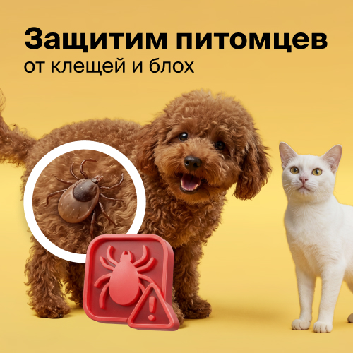 ВЕСЕННЯЯ ЗАЩИТА ДЛЯ ПИТОМЦЕВ!