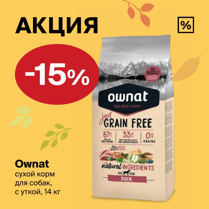 В Четыре Лапы -15% на сухой корм для собак
